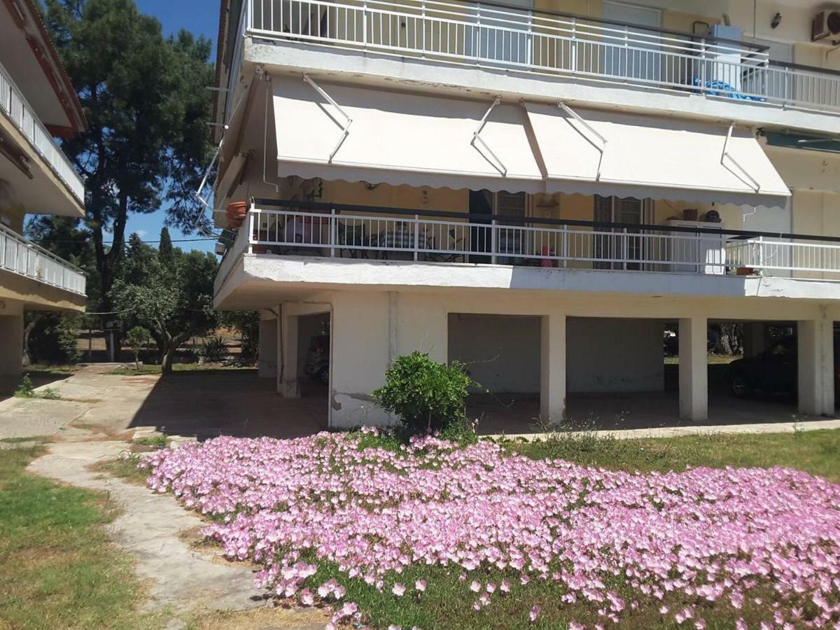 Metamorphosis - Halkidiki Apartment On The Beach Metamorfosi  Exteriér fotografie